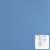 WTA 021